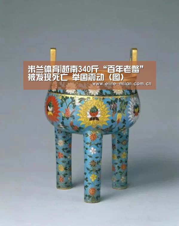 APP下载
