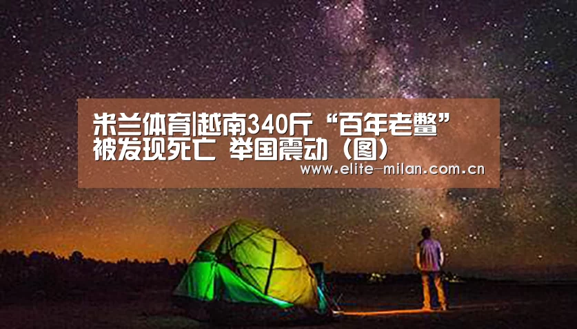 官网入口
