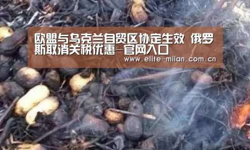 官网入口