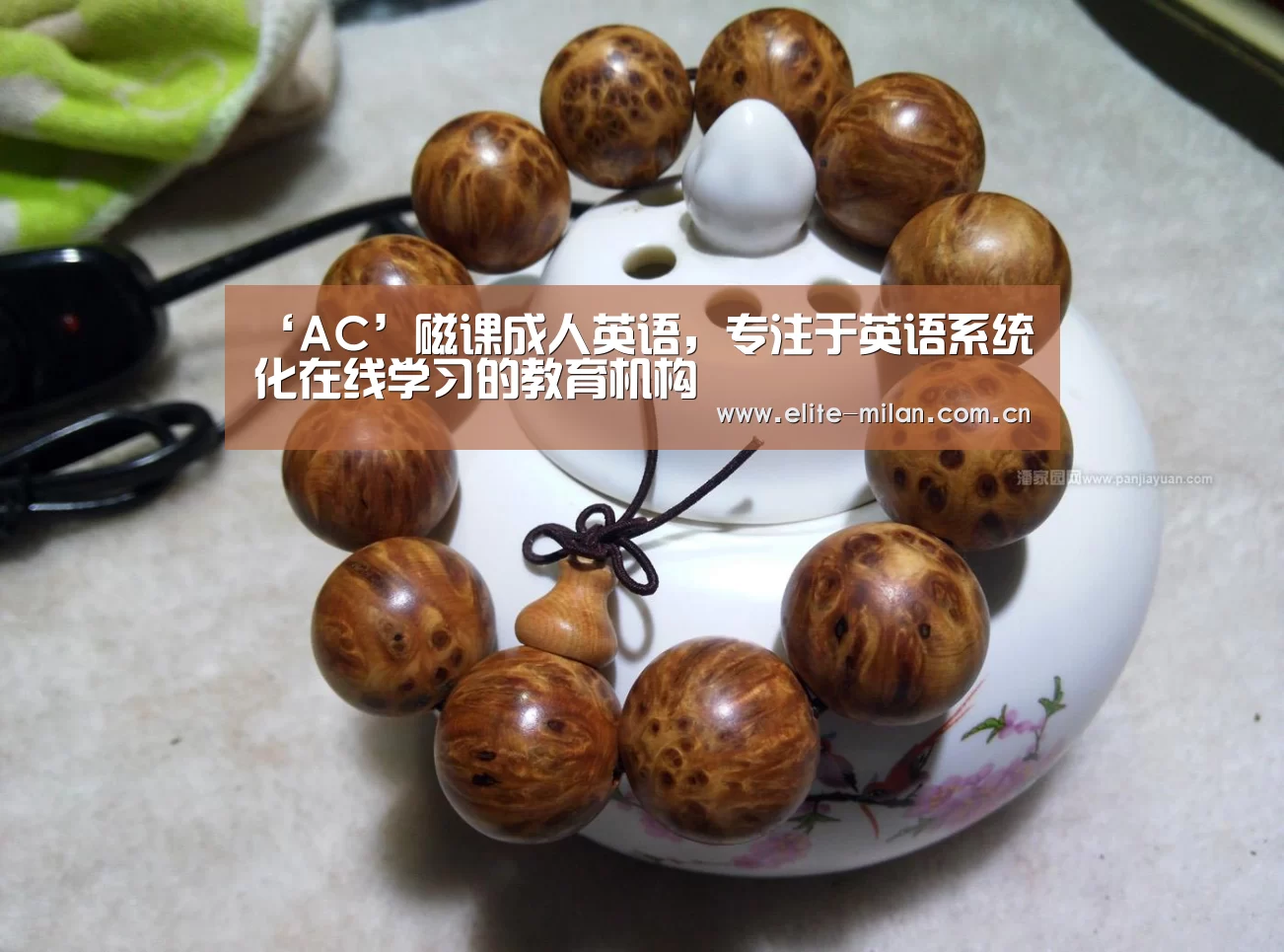 ‘AC’磁课成人英语,专注于英语系统化在线学习的教育机构(图1) 官网入口