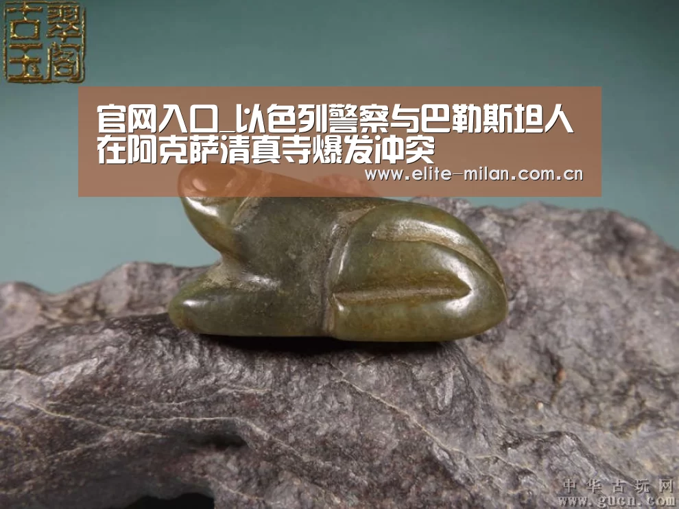 APP下载