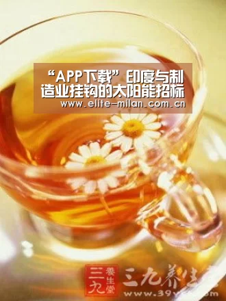 APP下载