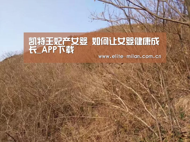 官网入口