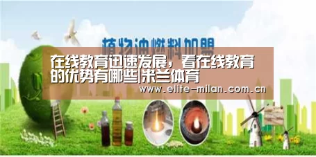 官网入口