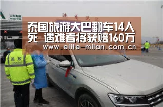 APP下载